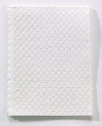 Patient Towel 13 W X 18 L Inch White